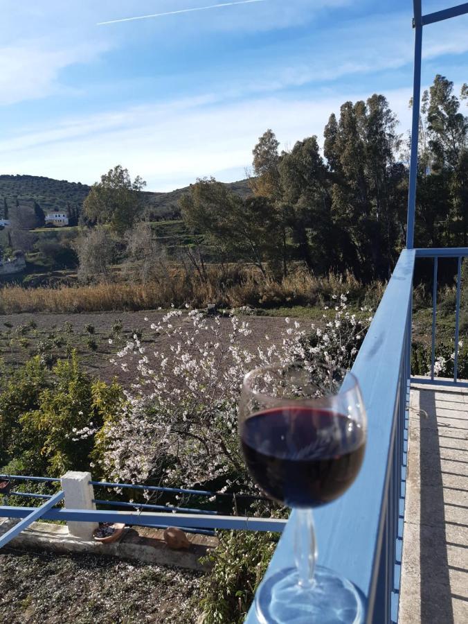 비뉴엘라 Cortijo El Puente 게스트하우스 외부 사진